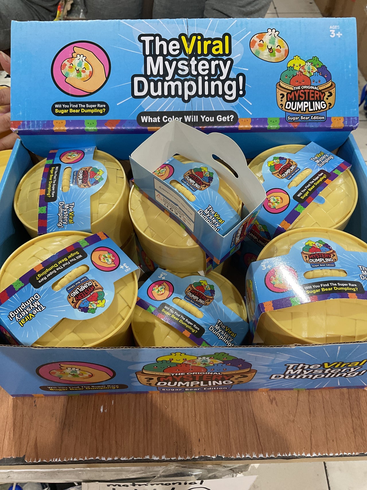 MYSTERY DUMPLING