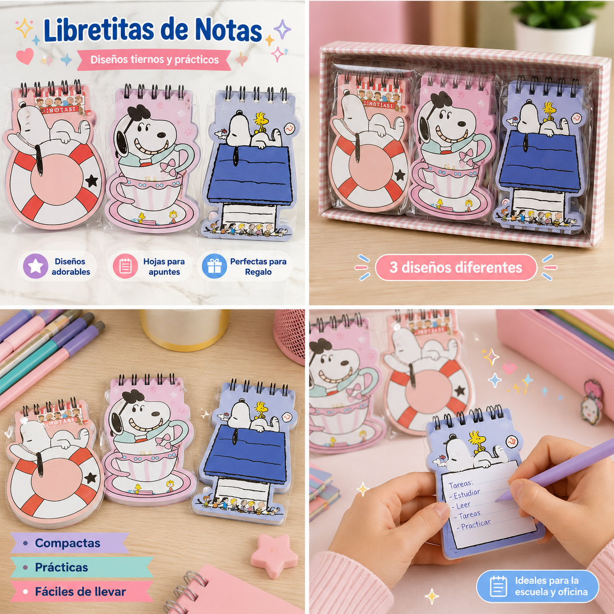 12 libretas surtidas