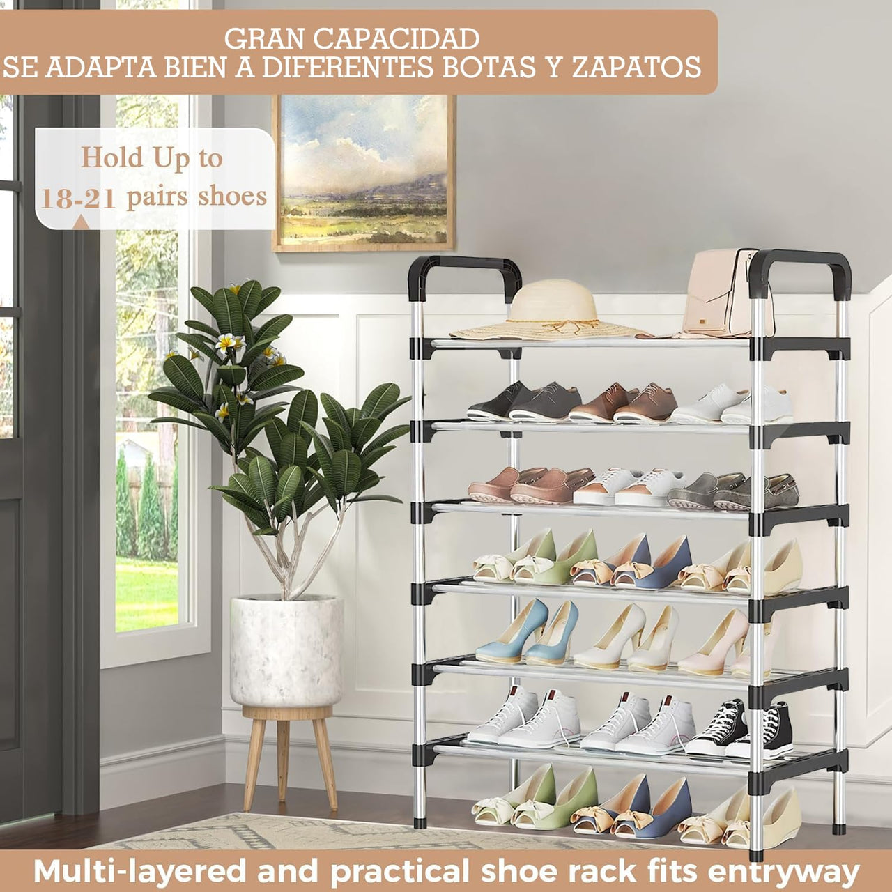 Zapatera 3434