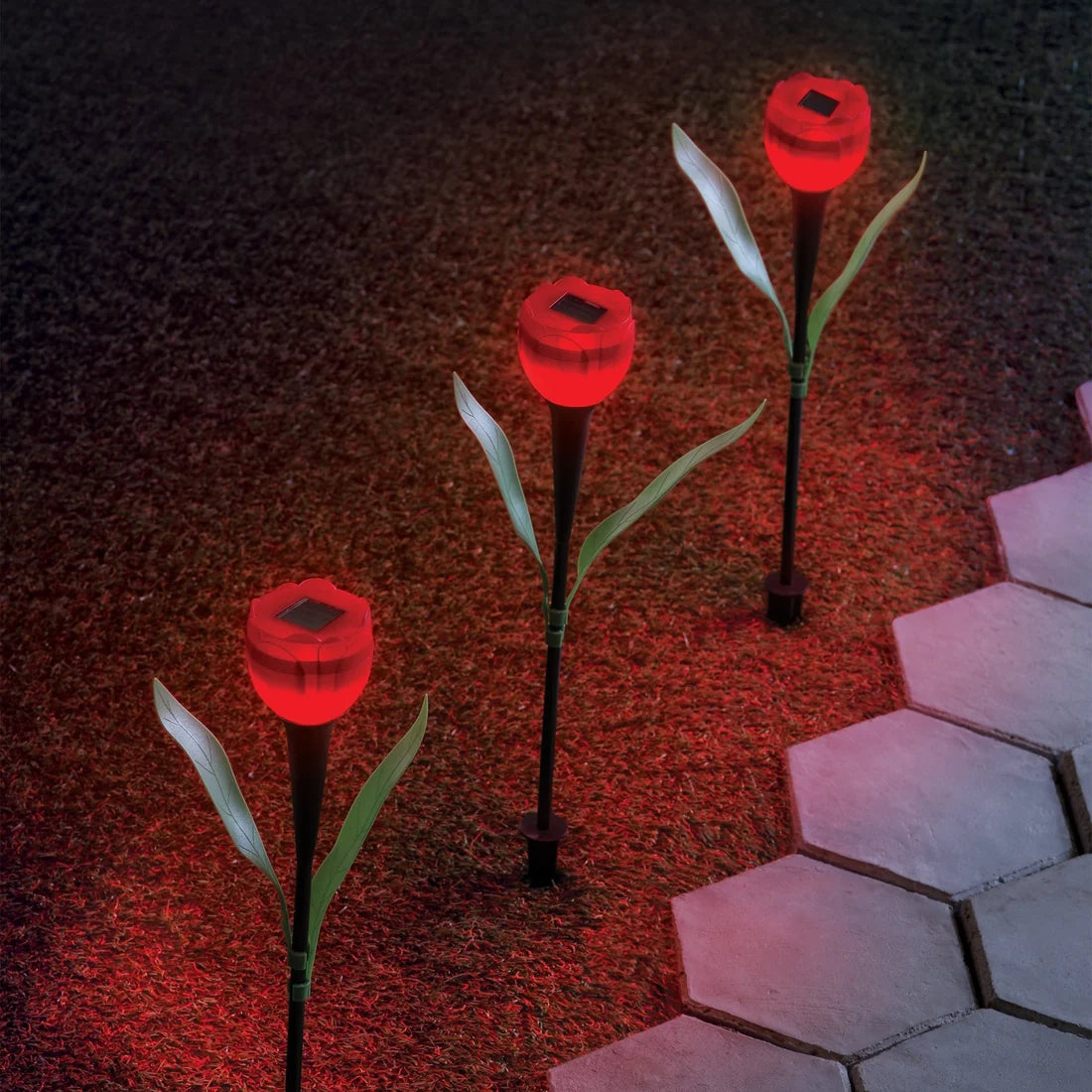 4 Flores Solares.